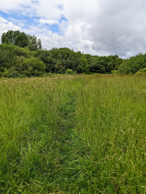 Kingfisher Country Park