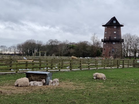 Windmill Animal Farm