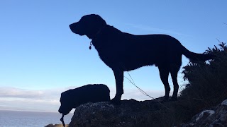 The house & zoo keeper dog walker pet companion