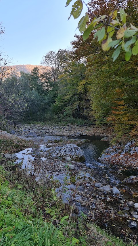 Maayan Mikveh Baal Shem Tov