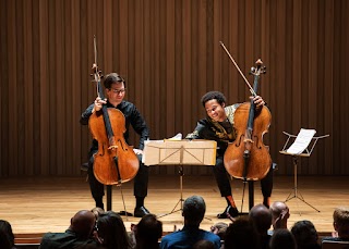 The Stoller Hall