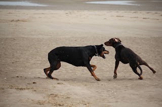 Willows Veterinary Group - Hampton Veterinary Centre