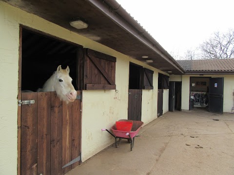 The Cottage Kennels and Cattery