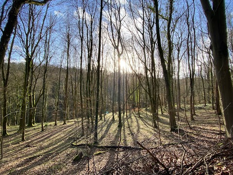 National Trust - Woodchester Park