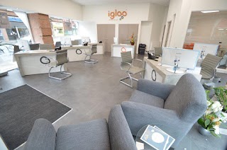 Igloo Estate Agents