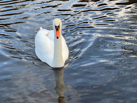 Union canal towpath