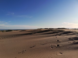 Forvie National Nature Reserve (Waterside car park)