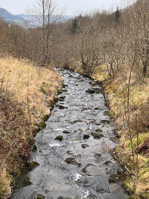 Clydach Vale Country Park