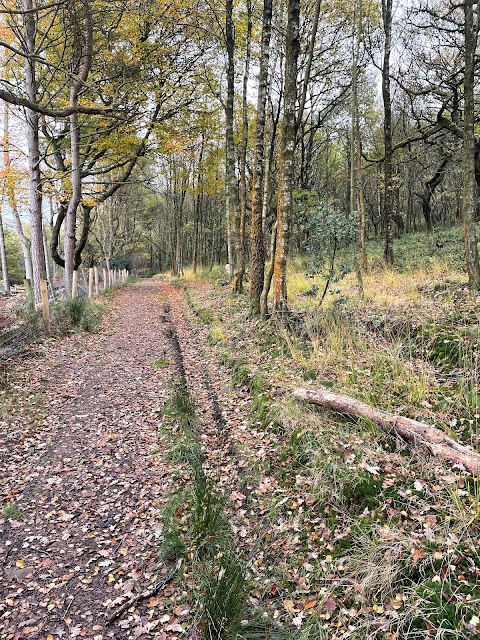 Stalybridge Country Park