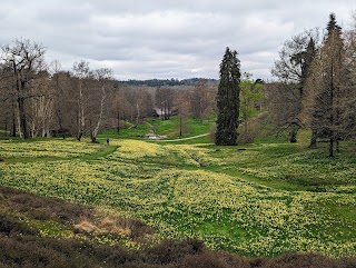 The Valley Gardens