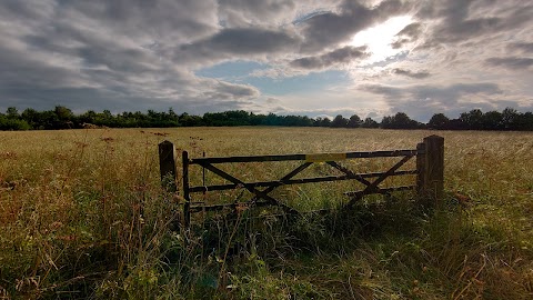 Radwell Meadows Country Park