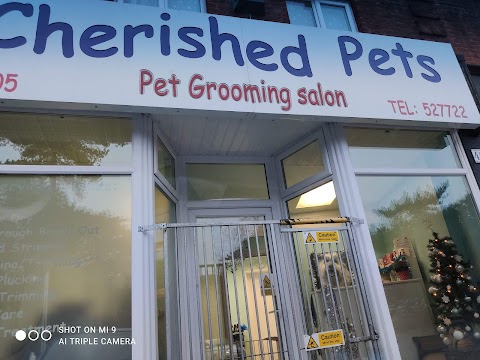 Cherished Pets, Bournemouth | Salon Dog Grooming!