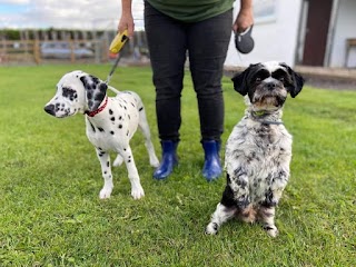 Conifer Kennels & Cattery