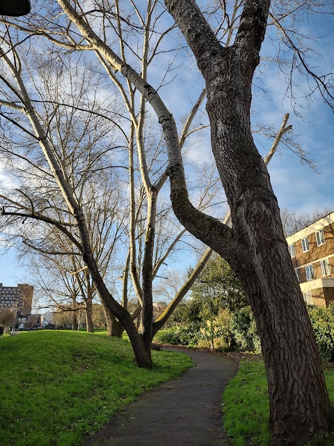 Paignton Road Open Space