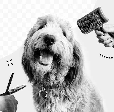 Pawsome Mobile Dog Grooming Hull