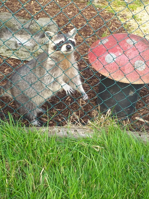 Secret Valley Wildlife Park