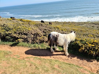 National Trust - Rhosili and South Gower Coast