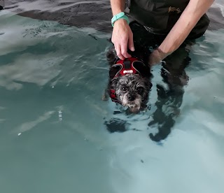 DogWorks Canine Hydrotherapy