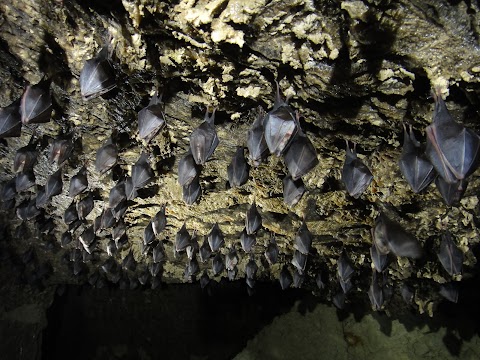 Optymistychna Cave Visit Center