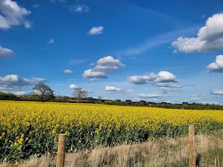 Upton Country Park