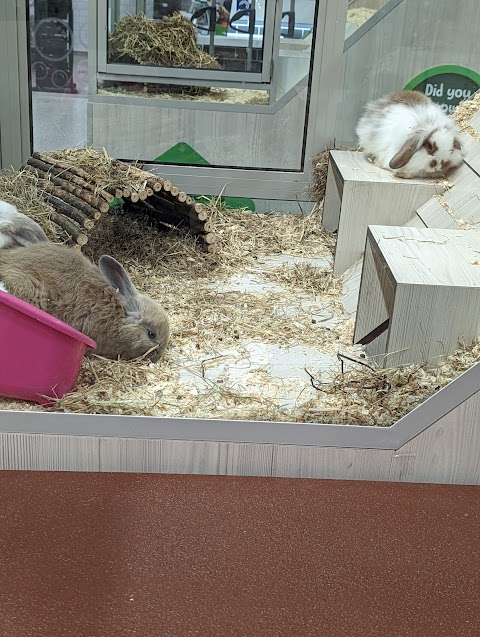 Pets at Home Norwich Hall Rd