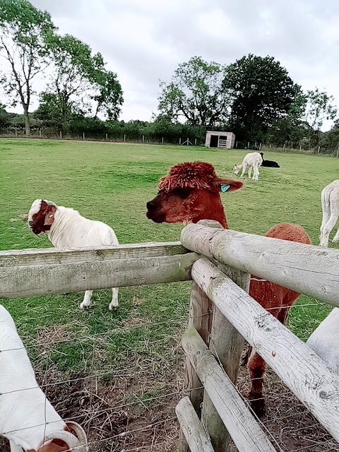 Church Farm Tea Rooms & Childrens Farm