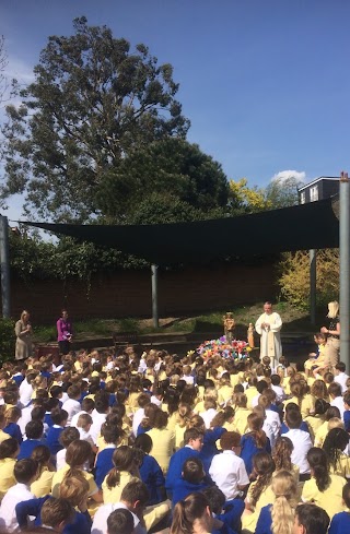 Mount Carmel Catholic Primary School