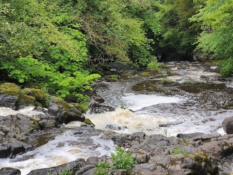 Crumlin Glen