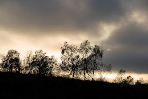 Longshaw Estate - National Trust