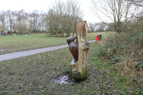 Brereton Heath Local Nature Reserve