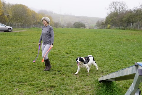 Hounds & Bounds Fido's Field