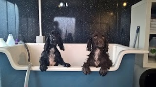 Hardwick Hounds Dog Grooming Salon