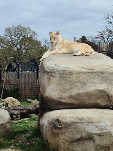 Paradise Wildlife Park