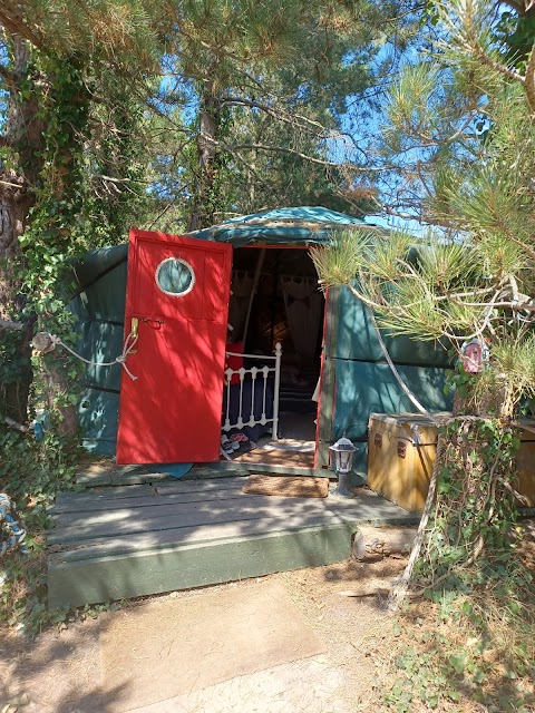 Marina Yurts Emsworth