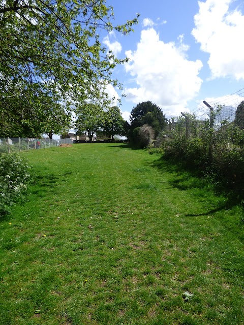 Hawthorn Grove public space