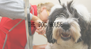 The Dog House