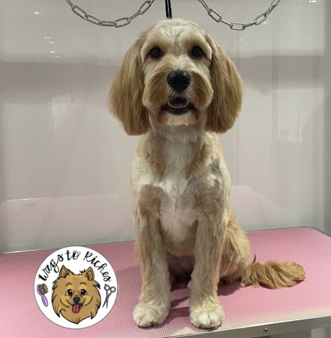 Wags to Riches Grooming