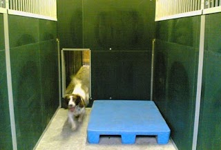 Deutsche Boarding Kennels & Cattery Limited