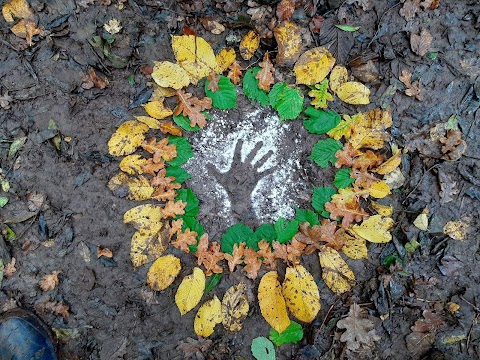 Wild Wood Bristol Forest School