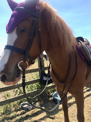 Sugarloaf Equestrian Centre