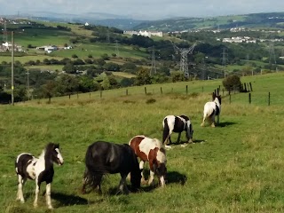 Dirt Attack Wales