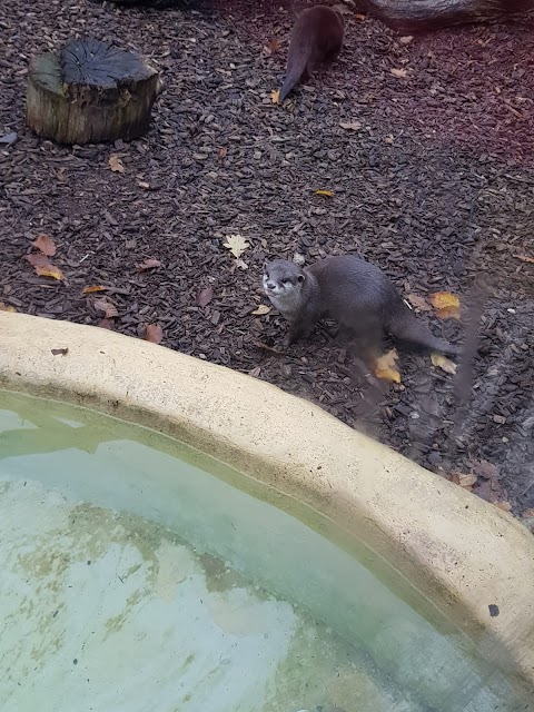 Longleat Guest Services