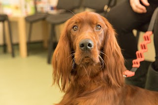 Congleton Veterinary Centre