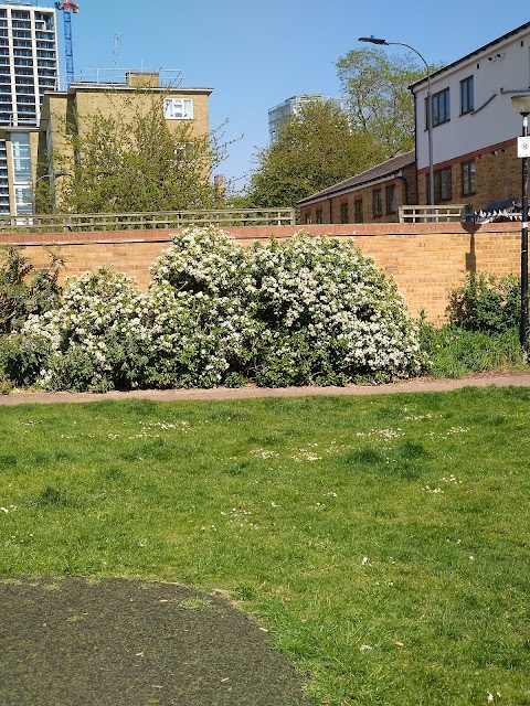 Sands End Adventure Playground (SEAPIA)