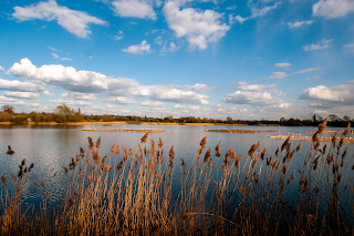 Skylarks Nature Reserve