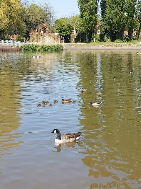 Painswick Park