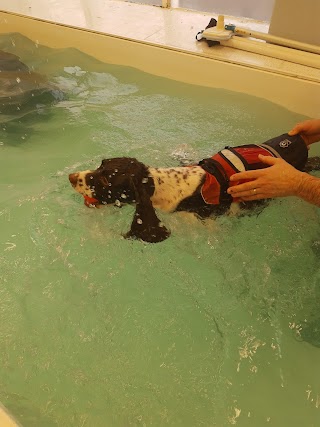 Sophie's Groom Room and Canine Hydrotherapy Centre