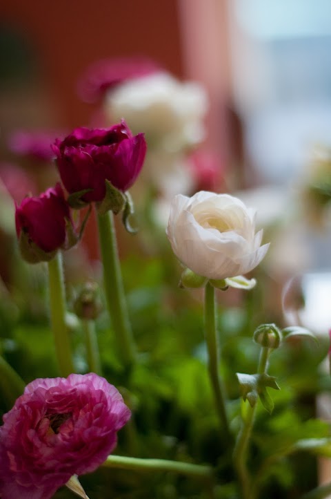 The Yorkshire Dales Flower Company