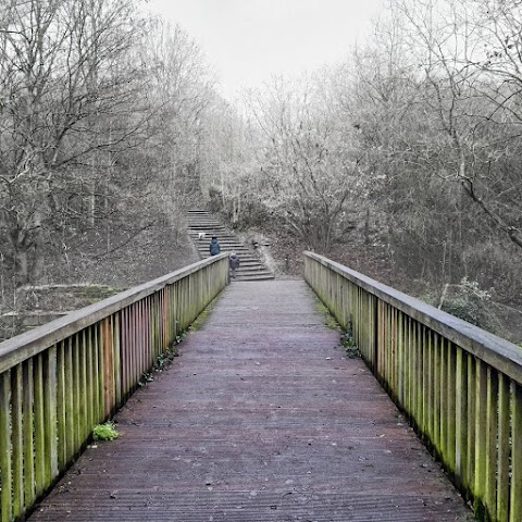 Dearne Valley Country Park