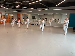 Snw Karate Chester